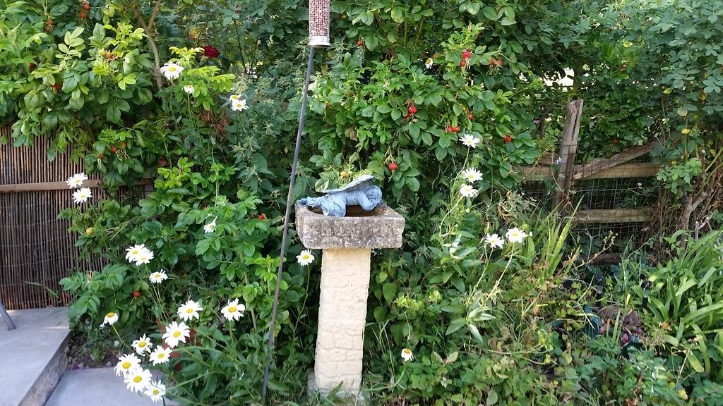Hungarton Bed & Breakfast Hungerton Esterno foto